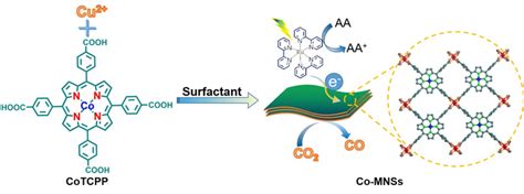 High Loading Single Cobalt Atoms On Ultrathin Eurekalert