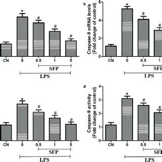 Effects Of Sulforaphane SFP On LPS Induced Apoptosis In Caco 2 Cells