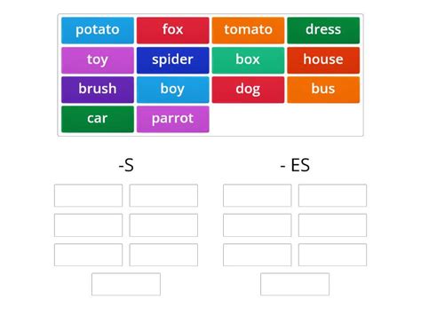 Mod 4b Plural Nouns Group Sort