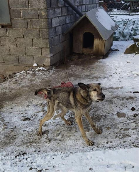 Z Pami Tnika Inspektora Relacjonuj Eryk I Ania Ktoz Krakowskie