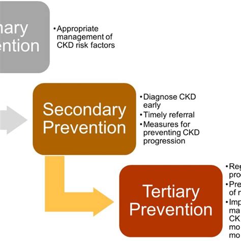 Kdigo 2020 Clinical Practice Guidelines For Diabetes Management In Ckd