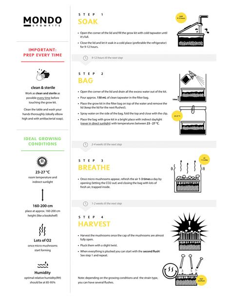 Comprar Pes Amazonian Growkit