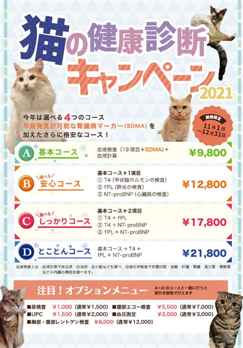 猫ちゃんの健康診断キャンペーン アドバンス ペット クリニック｜中野区の動物病院｜土日診療