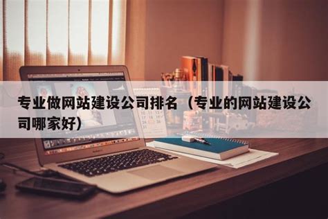 专业做网站建设公司排名（专业的网站建设公司哪家好） 恩派seo