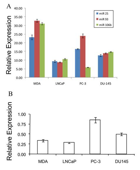 Expression Profiles Of Member Mirnas Of Mir B Cluster And The