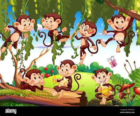 Forest scene with funny monkeys cartoon illustration Stock Vector Image & Art - Alamy