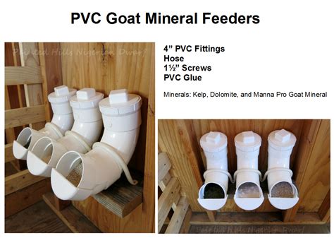 PVC Goat Mineral Feeders Cabras Boer, Goat Feeder, Goat Playground ...