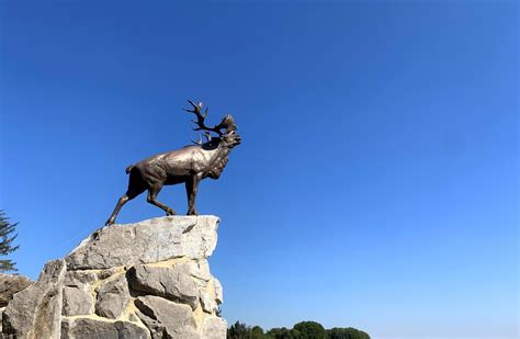 M Morial Terre Neuvien De Beaumont Hamel Auchonvillers Site