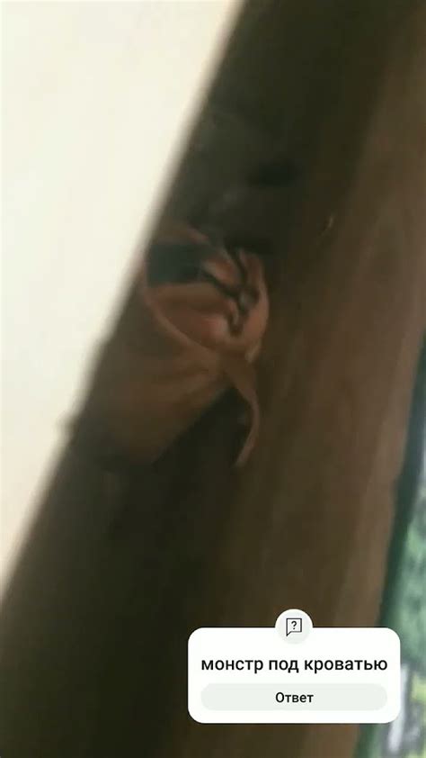 МОНСТР ПОД КРОВАТЬЮ - YouTube
