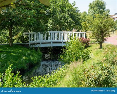 Wooden Bridge Stock Image Image Of River Water Plant 250650883