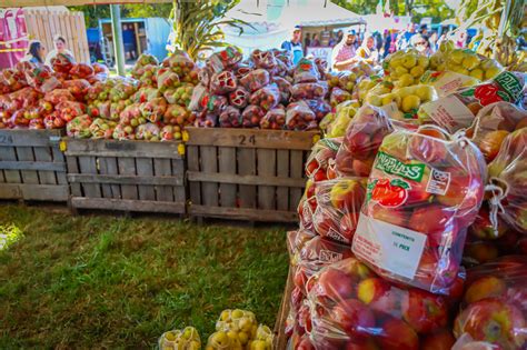 Fall Fun At The Ellijay Apple Festival Aka Georgia Apple Festival