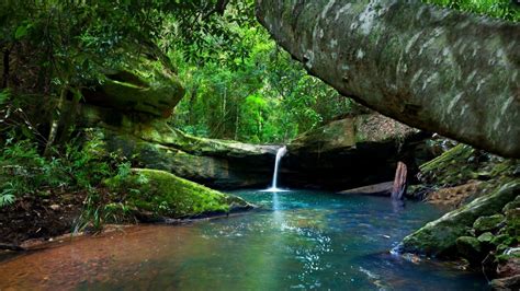 Beautiful Waterfall On Rock Pouring On River Surrounded By Green Trees In Forest Hd Nature