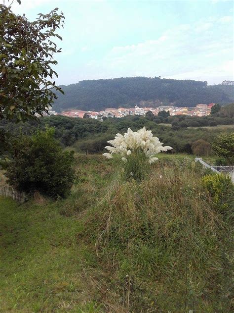 Caminos Y Senderos Españoles Dia Nublado En La Calea” RanÓn Asturias