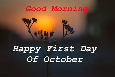 Top 10 Good Morning Welcome October Greetings Images Pictures Photos