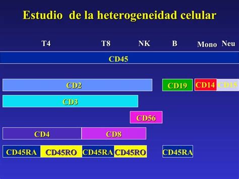 Citometria De Flujo Linfomas Y Leucemias