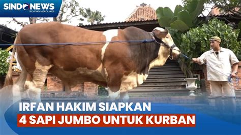 Irfan Hakim Siapkan 4 Ekor Sapi Jumbo Untuk Kurban Iduladha 1445 H