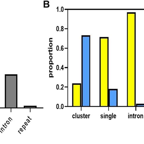 Evolutionarily Conserved Common MiRNAs Are Significantly Enriched In