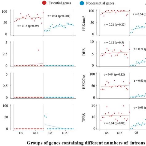 Proportions Of Epigenetic Marks In The First Introns Of Genes