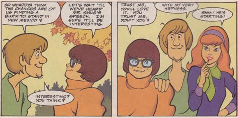 Shaggy Rogers And Velma Dinkley Dc Comics Scoobypedia Fandom