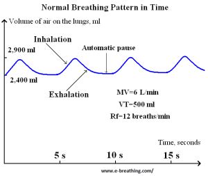 Normal Respiratory Rate, Volume, and Chart