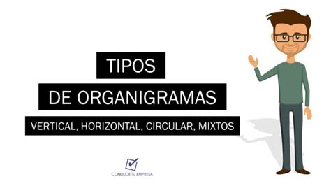 Tipos De Organigramas Guía Completa 【 2025