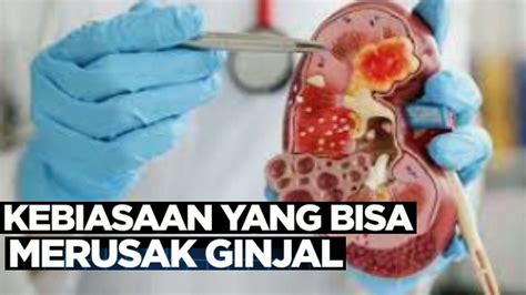 Sering Dilakukan Berikut Kebiasaan Yang Bisa Merusak Ginjal Kita