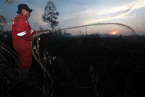 Infopublik Pembasahan Lahan