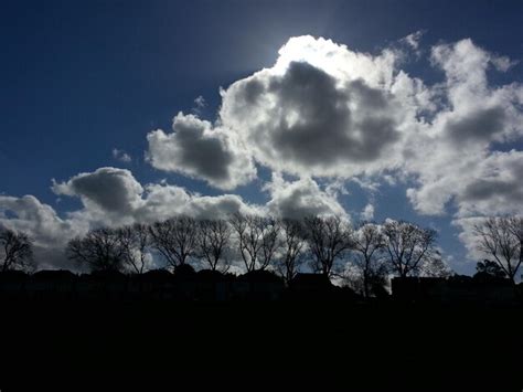 Rvores Nuas Na Paisagem De Silhueta Contra As Nuvens Foto Premium