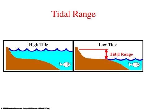 Gravity Tides And Orbits Ppt Download