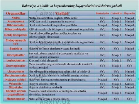 Osimlik Hujayrasining Tuzilishi Biologiya Slaydlar