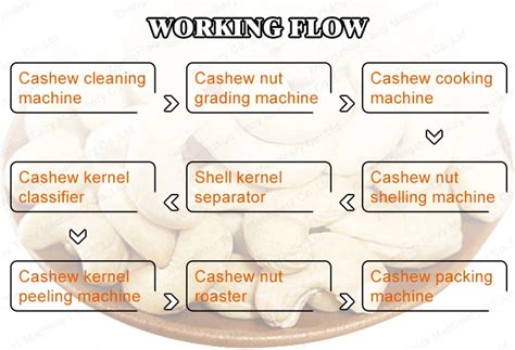 Full Automatic Cashew Nut Processing Line Cashew Shelling And Peeling