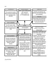 Understanding Acute Pyelonephritis Symptoms Complications Course Hero