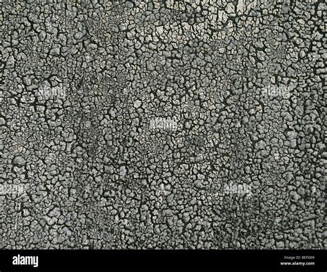 texture    ruberoid stock photo alamy