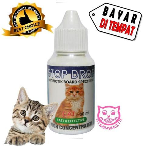 Obat Kucing Antibiotik Obat Demam Flu Batuk Diare Dan Gejala Virus Pada