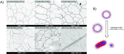 A Cryo Tem Images Representing Different Concentrations Of Nh Peg