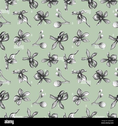 Orchid Seamless Pattern Orchids Botanical Pattern Stock Photo Alamy