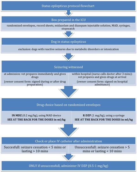 Midazolam Dose For Seizures In Dogs - JesseHardie