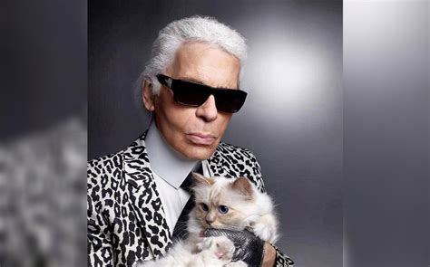 Choupette Gatita De Karl Lagerfeld Dice Por Qu No Fue Met Gala