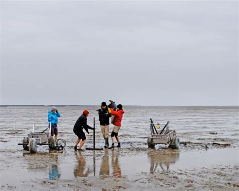 Bilderstrecke Zu Rungholt Kirche Nach Jahrhunderten Im Wattenmeer