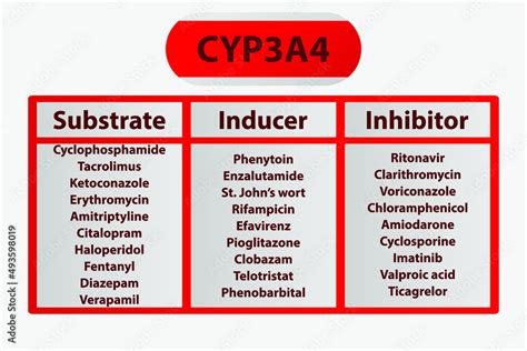 cypa cytochrome p enzyme pharmaceutical substrates inhibitors