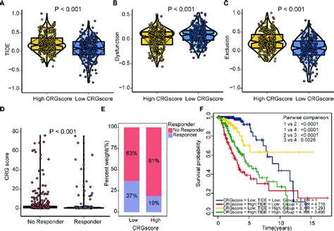 Estimation Of The Cuproptosis Related Prognostic Model In Immunotherapy