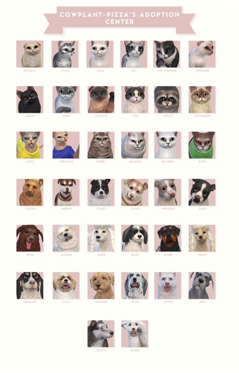 Pet Adoption Center, Dog Adoption, Sims 4 Pets, Jak & Daxter, Sims 4 Mm ...