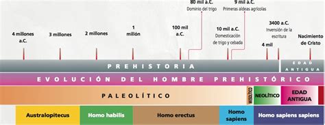 Línea De Tiempo Eje Cronológico O Friso De Tiempo Cuadro Comparativo