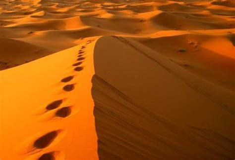 10 Interesting Sahara Desert Facts | My Interesting Facts