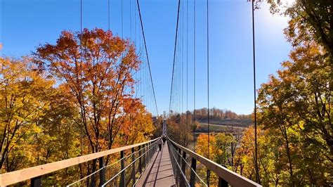 Skybridge Michigan At Boyne Mountain With Peak Fall Colors 4k Video