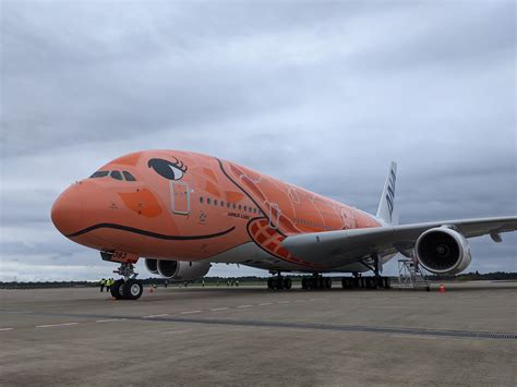 Ana旅のつぶやき【公式】 On Twitter ／ エアバスa380型機 Flying Honu（フライングホヌ） 3号機「ラー」が