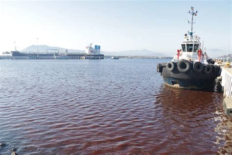 Manzanillo Autoridades Toman Medidas Ante Alza De Marea Roja T Xica