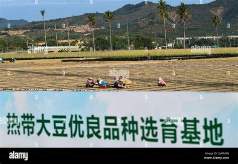 Chinas Silicon Valley Stockfotos Und Bilder Kaufen Alamy