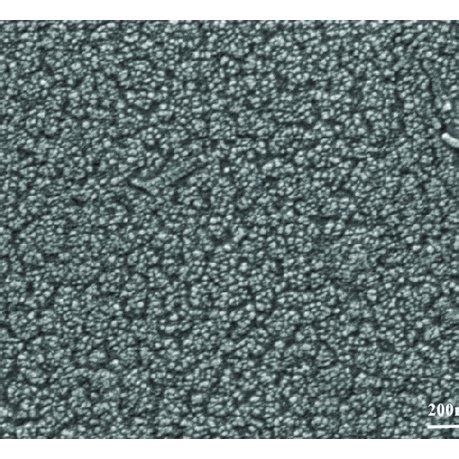 Surface Morphologies Of Ti GZO Thin Films In A As Deposited Condition