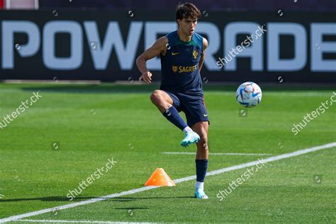 Portugals National Team Player Joao Felix Editorial Stock Photo - Stock ...